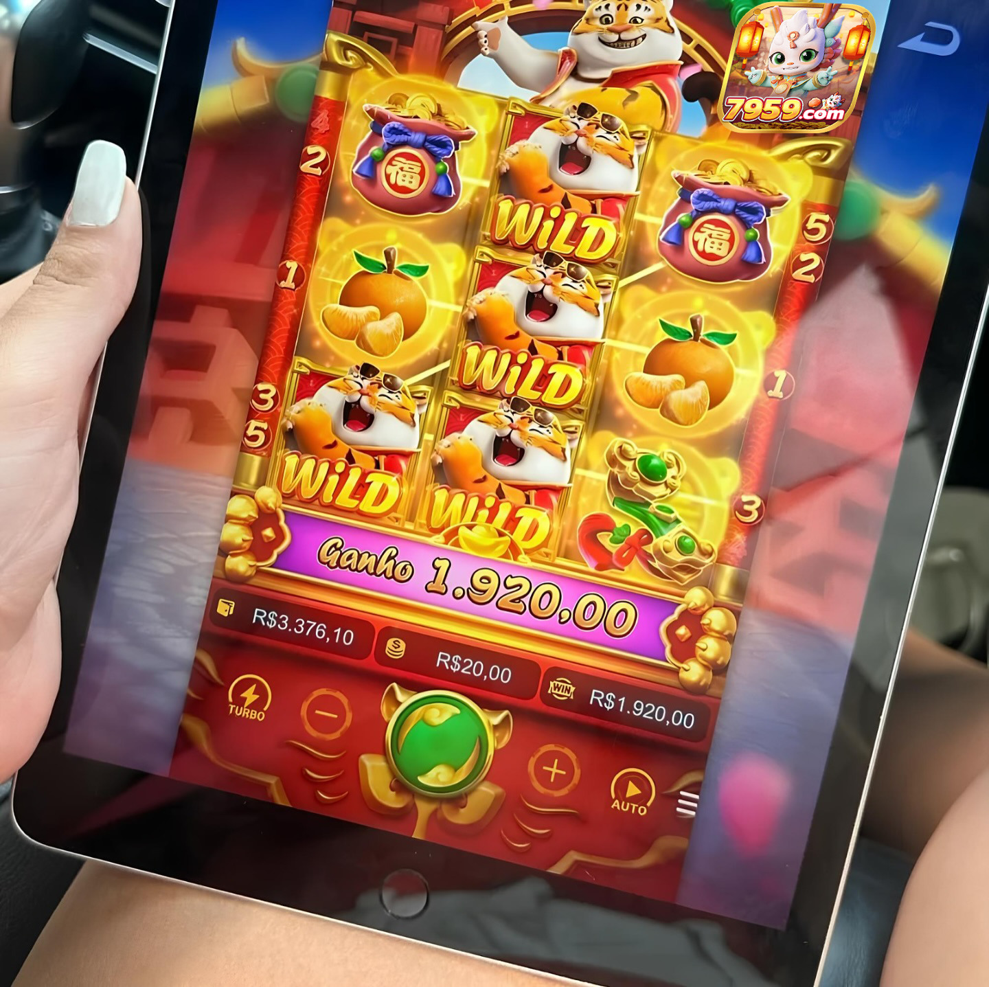 apostas esportivas casa de apostas online bet7k https bet7k com 