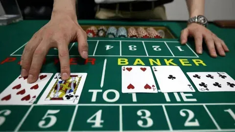 apostas online video 