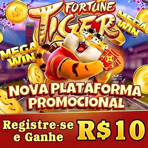 cassino online para iniciantes 