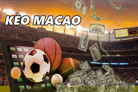 forra cama 