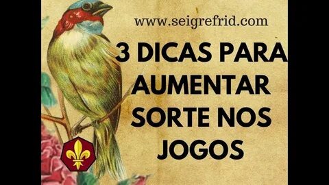 fortune mouse melhor horário 
