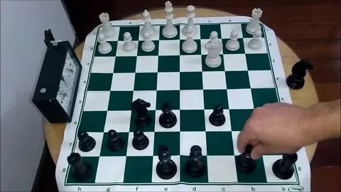 jogo do bicho do 