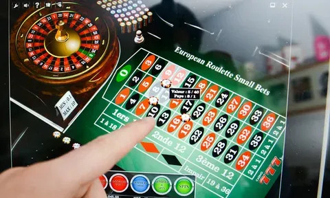 plataforma que tem cassino ao vivo 