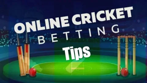 vai de bet .com 